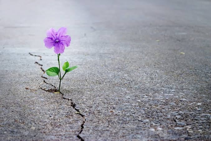 The Power of Hope in Times of Struggle