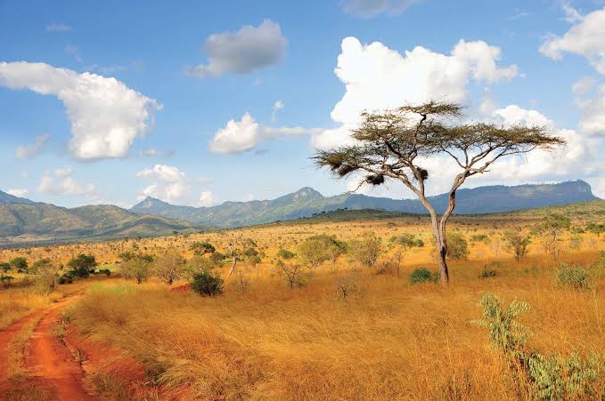 The History of Kenya: From Ancient Civilizations to a Modern Nation